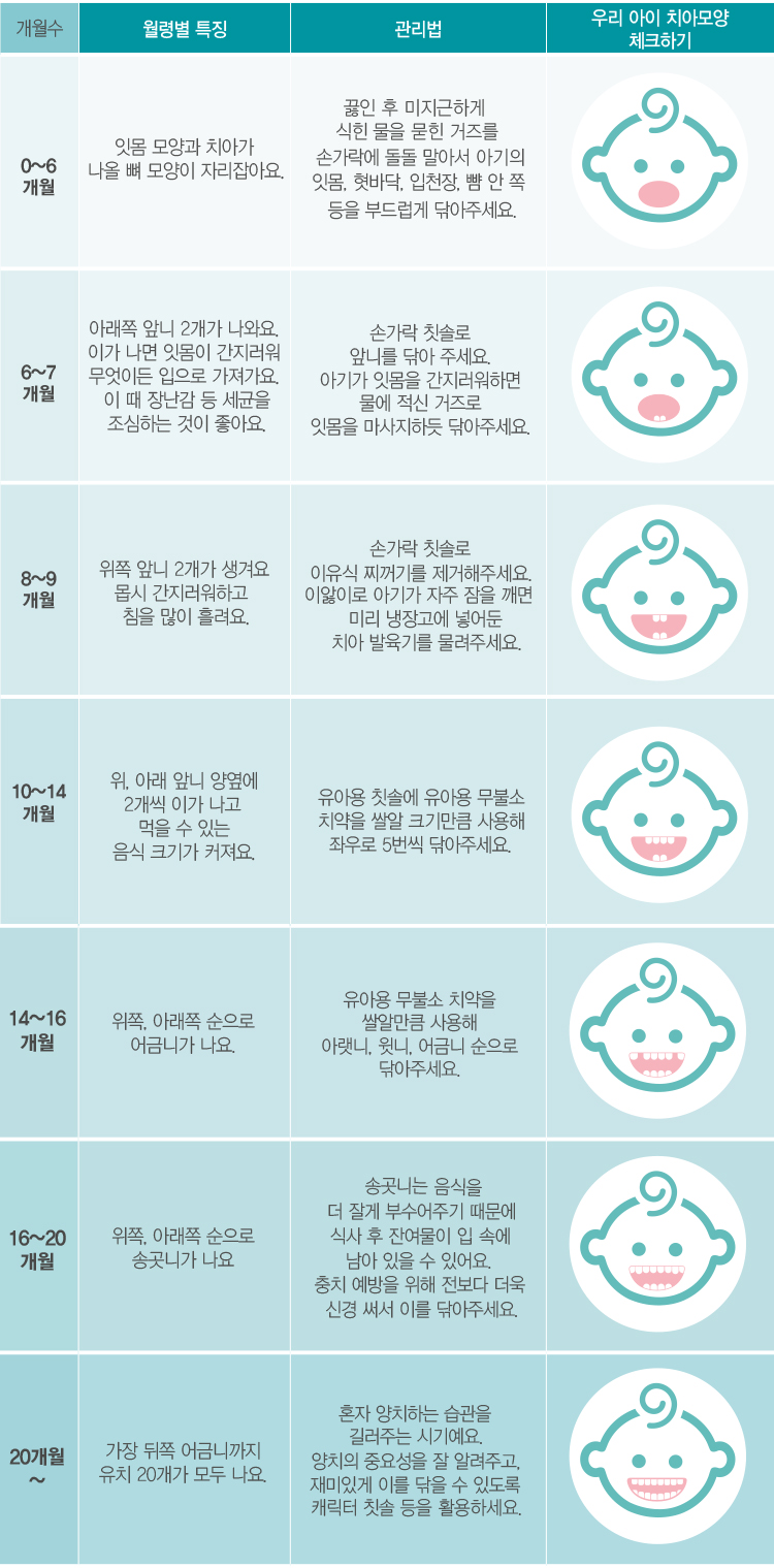 [매일아이] 유치 관리의 중요성과 월령별 치아 관리법